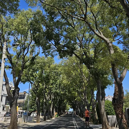 Lusi Διαμέρισμα