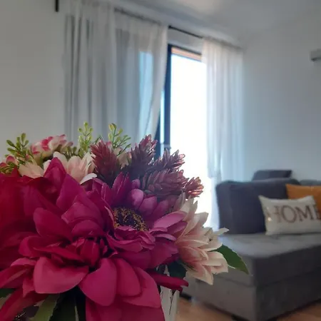 Apartment Lusi *